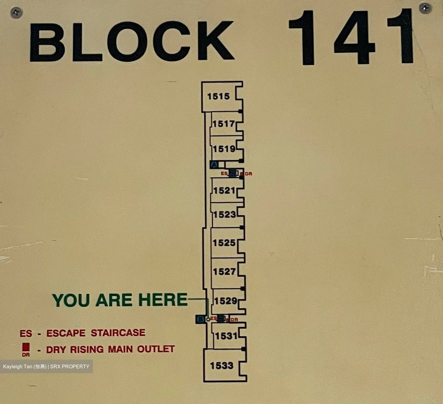 Blk 141 Eunos Spring (Bedok), HDB 4 Rooms #551663311